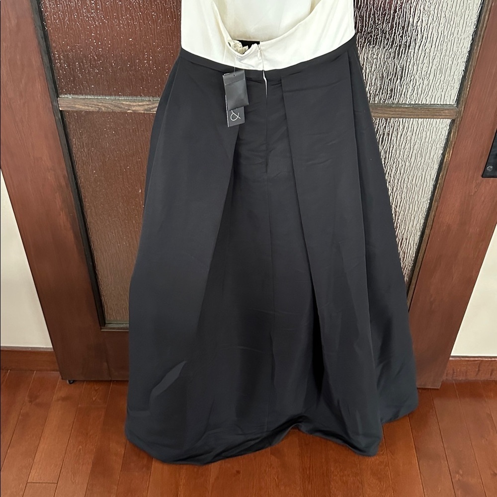 Sachin + Babi -Dominique Pleated Two-Tone Applique Gown size 4 NWT. - Picture 11 of 16